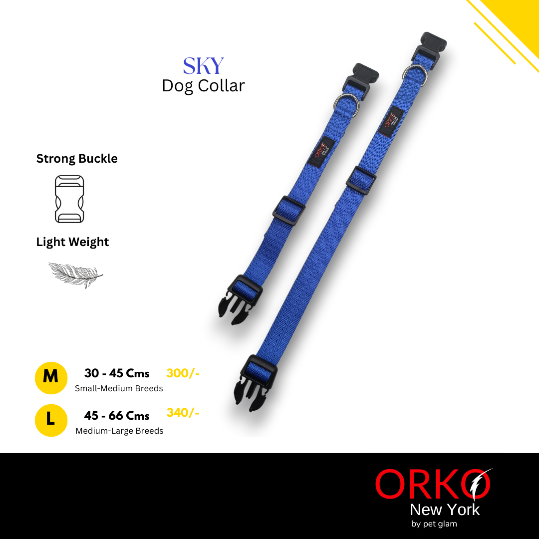 Sky-2