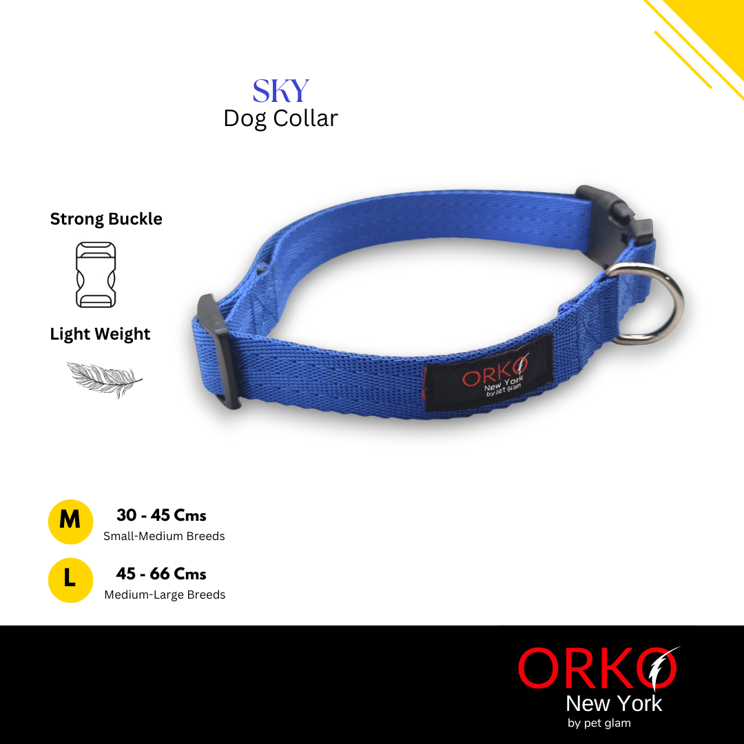 Sky-4