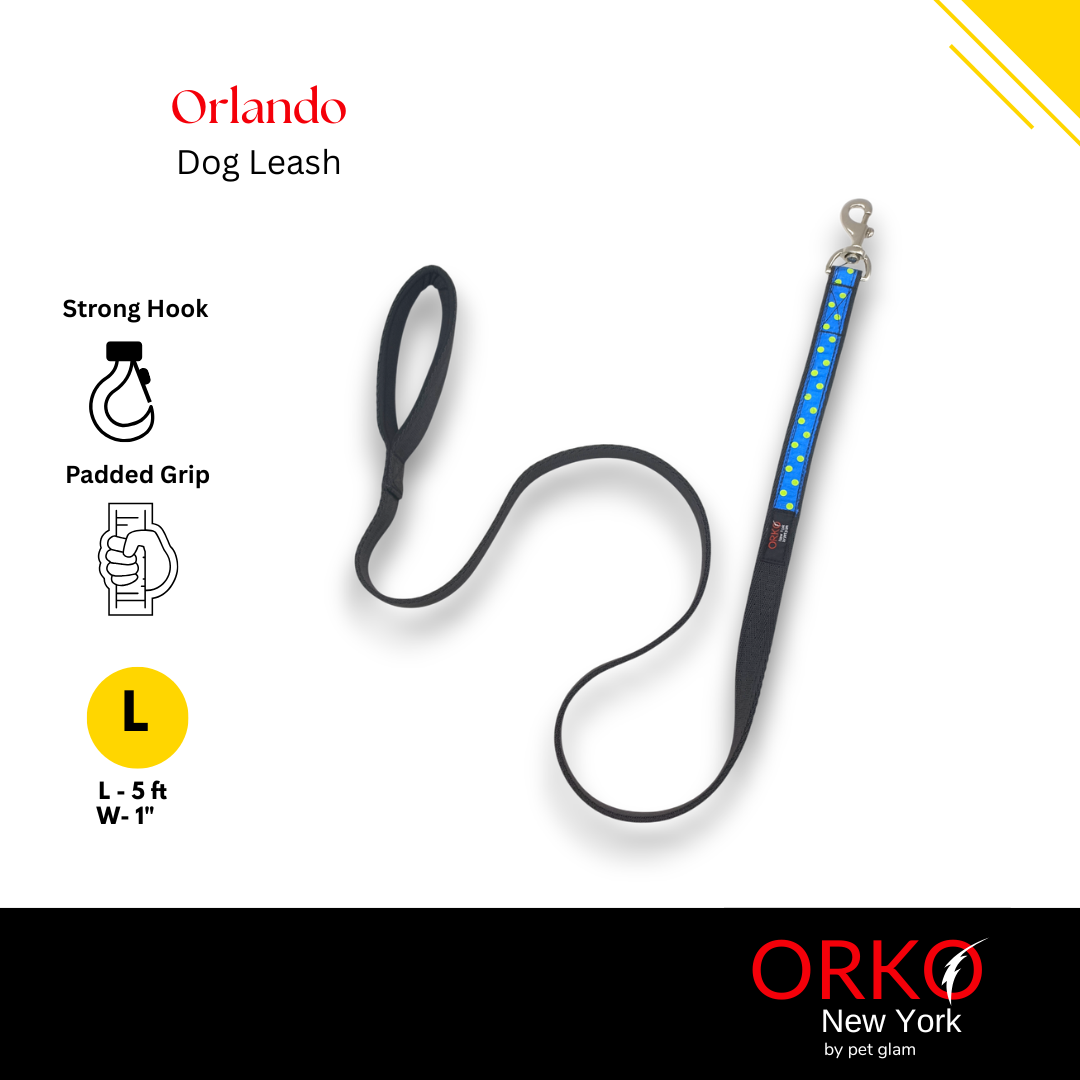 Orlando-3