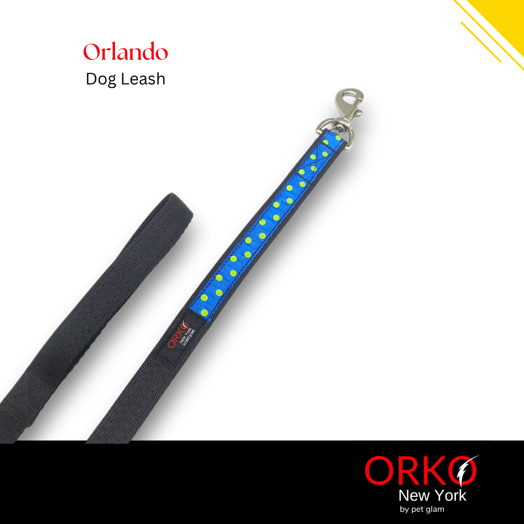 Orlando-5