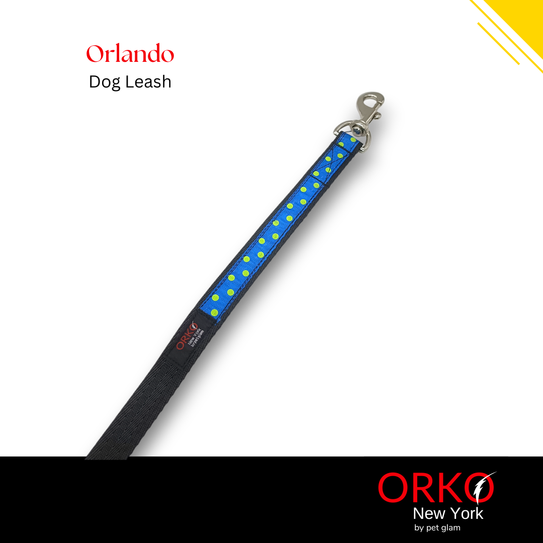 Orlando-4
