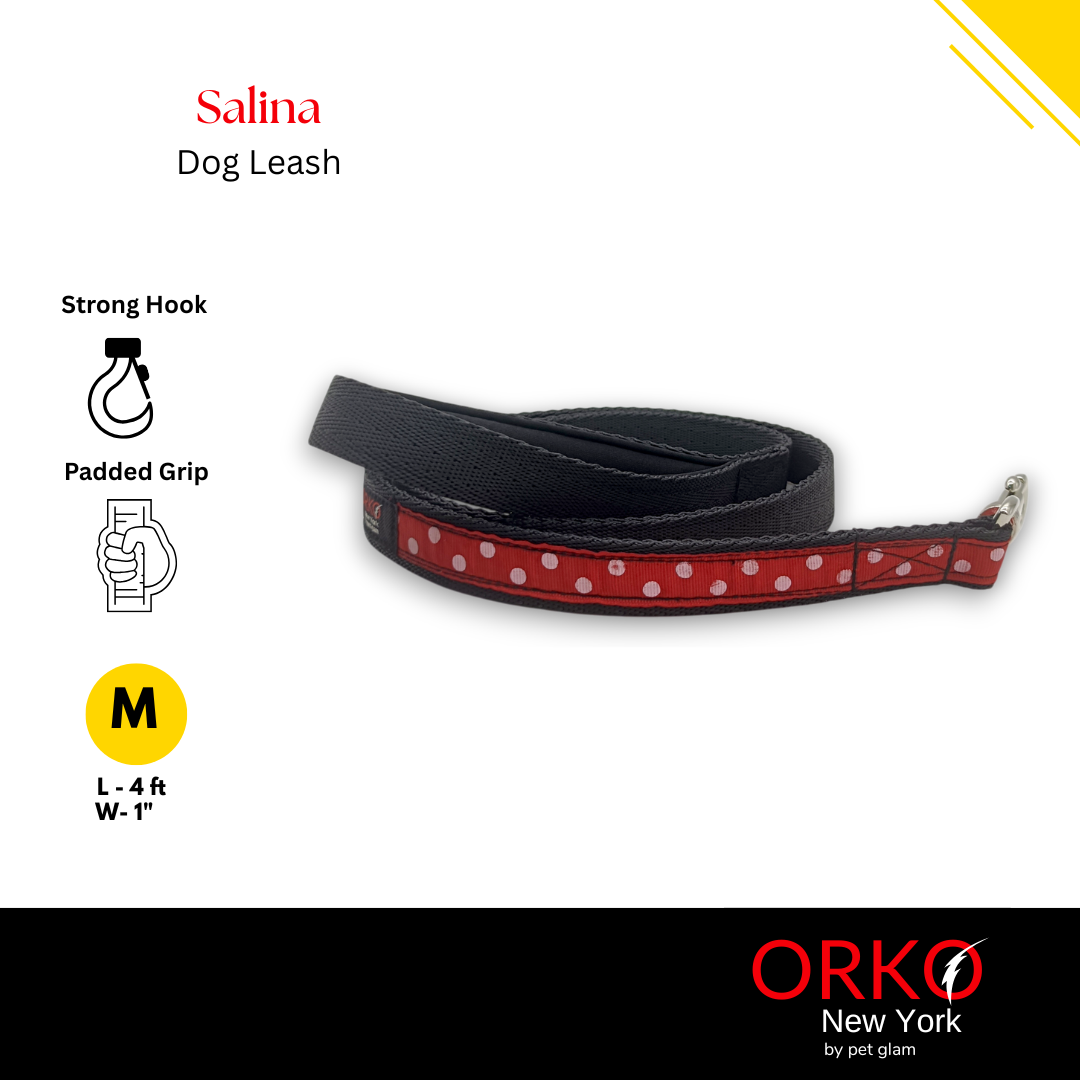 Salina-4