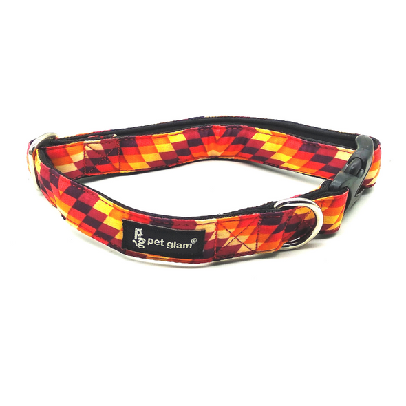 Pet Glam Dog Collar-Blaze-Comfortable inner Lining-for Small Medium Large Fits-Puppy Dogs, Beagles, Labs, Indies, Huskies, JRT-Sprint Collection-Sprint