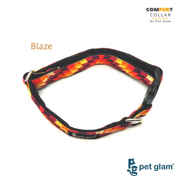 Pet Glam Dog Collar-Blaze