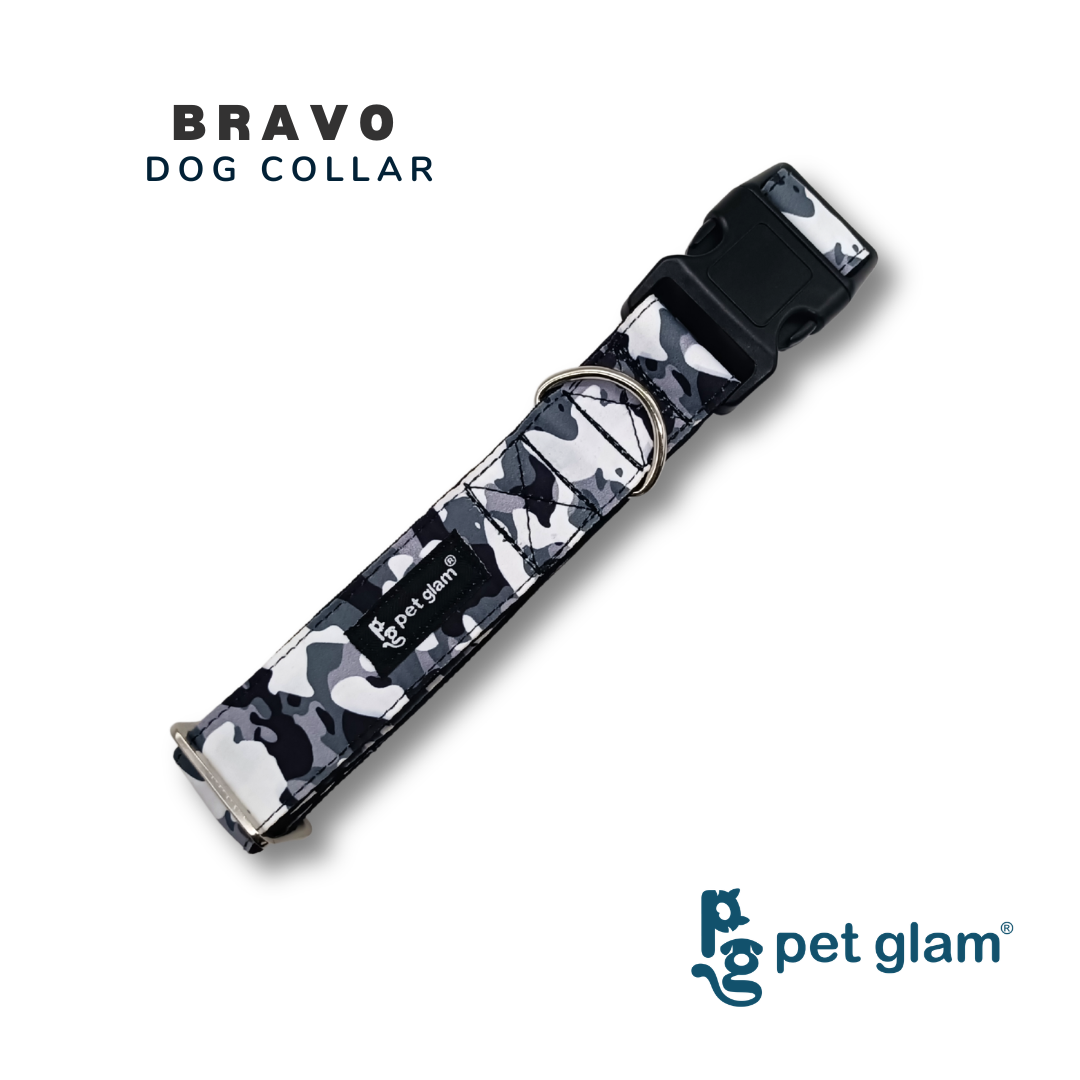 Pet Glam Bravo Dog Collar for Dogs | Soft Adjustable Neck Belt for Puppies Small Dogs Daily Walks and Training