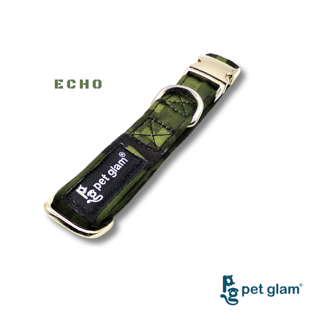 Echo-4