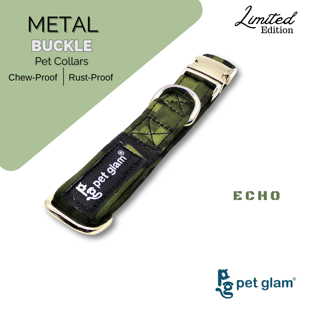 Echo-2
