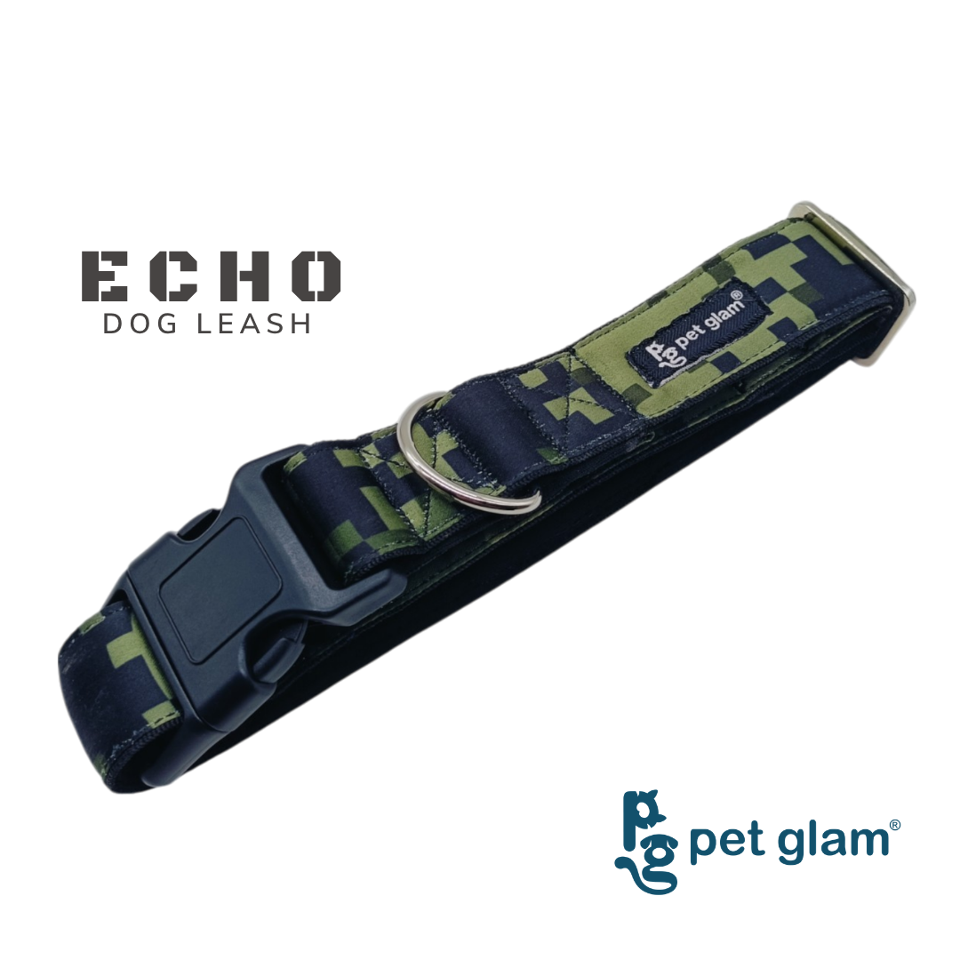 Echo-6