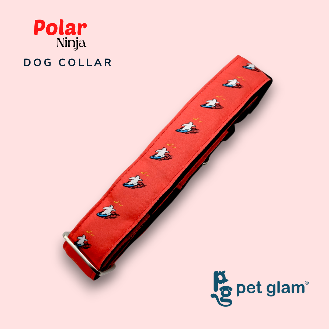 Polar-3