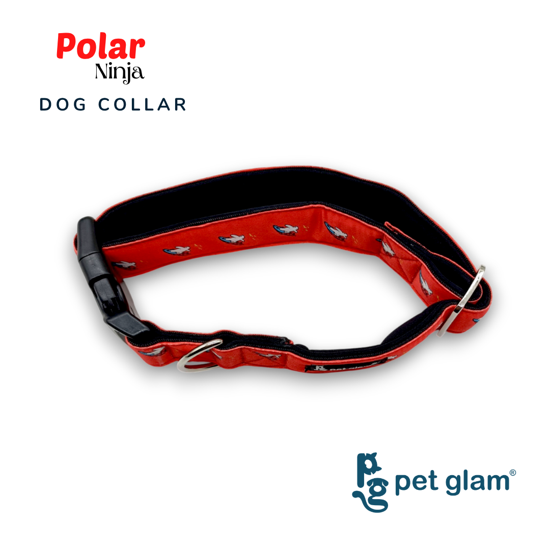 Polar-7