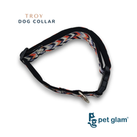 Troy-2