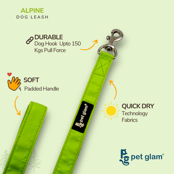 Pet Glam-Sprint Dog Leash ALPINE-with Padded Handle-Heavy Duty Hardware-5 Ft Long 1 inch Wide