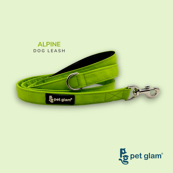Pet Glam-Sprint Dog Leash ALPINE-with Padded Handle-Heavy Duty Hardware-5 Ft Long 1 inch Wide