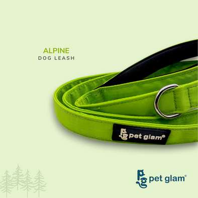 Pet Glam-Sprint Dog Leash ALPINE-with Padded Handle-Heavy Duty Hardware-5 Ft Long 1 inch Wide