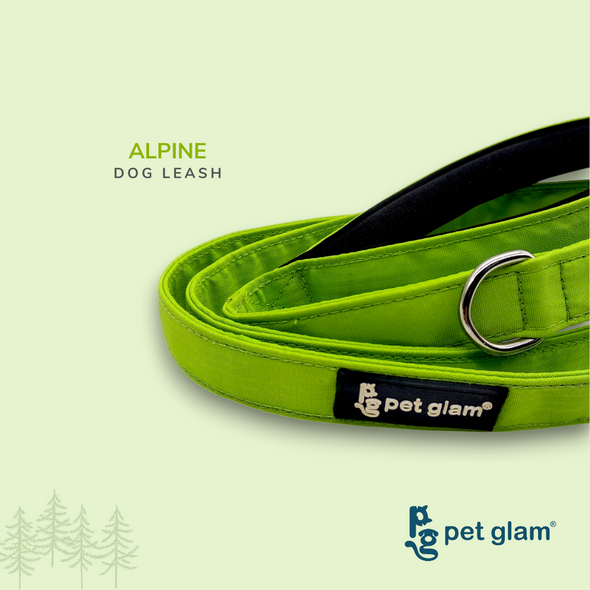 Pet Glam-Sprint Dog Leash ALPINE-with Padded Handle-Heavy Duty Hardware-5 Ft Long 1 inch Wide