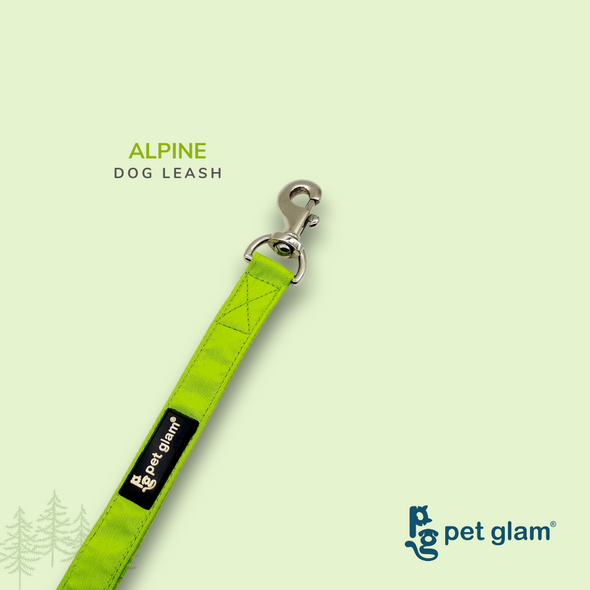 Pet Glam-Sprint Dog Leash ALPINE-with Padded Handle-Heavy Duty Hardware-5 Ft Long 1 inch Wide