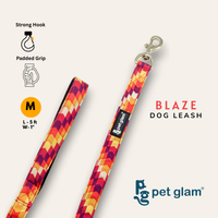 Blaze-3