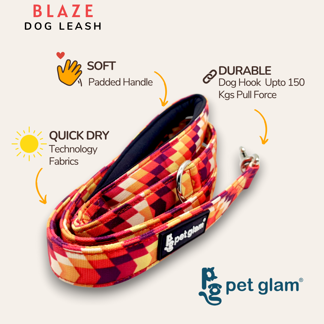 Blaze-2