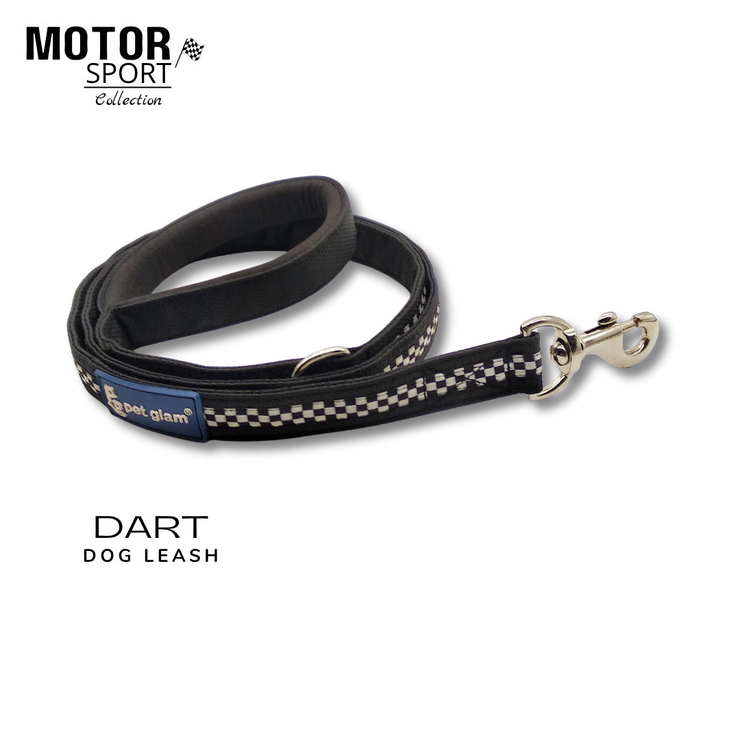 Dart-6