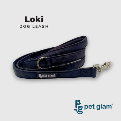 Pet Glam-Leash For Big Dogs Loki-Padded Handle-Heavy Duty Hardware-5 Ft Long 1 inch Wide