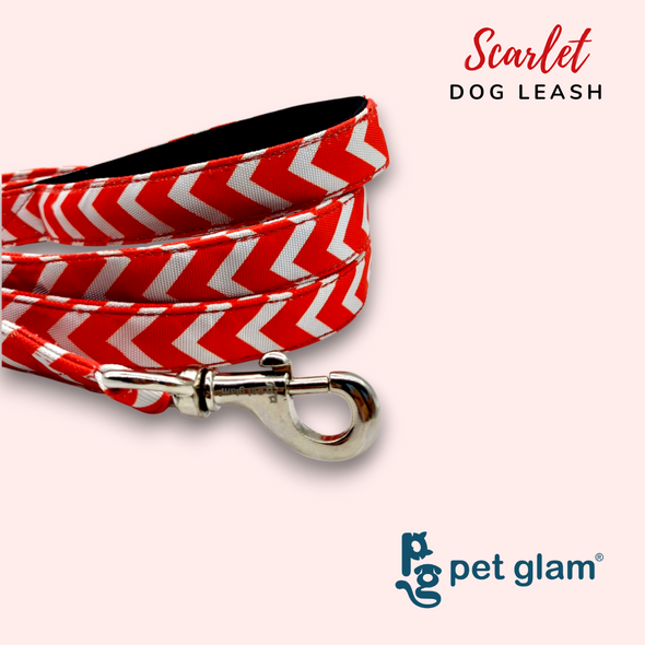 Pet Glam-Dog Leash For Puppies and Large Dogs-Scarlet | Padded Grip