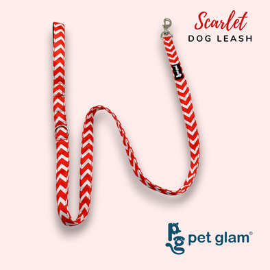 Pet Glam-Dog Leash For Puppies and Large Dogs-Scarlet | Padded Grip