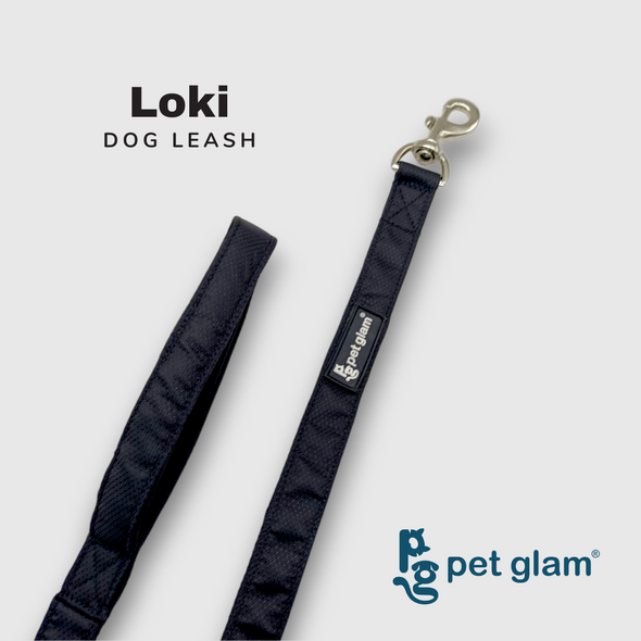 Pet Glam-Leash For Big Dogs Loki-Padded Handle-Heavy Duty Hardware-5 Ft Long 1 inch Wide