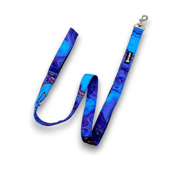 Pet Glam Nebula Dog Leash for Dogs | 5 Ft Heavy Duty Leash with Soft Padded Handle