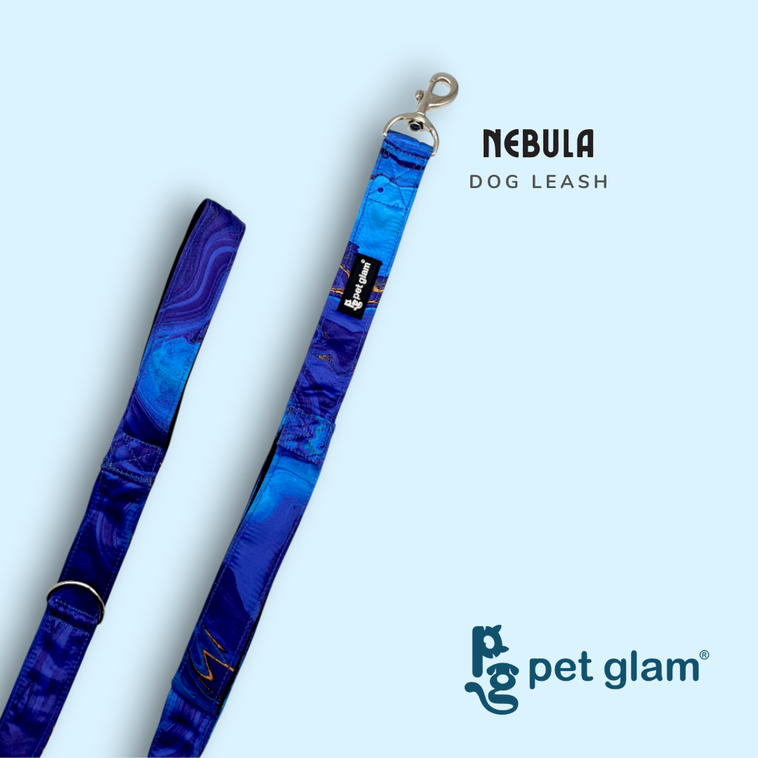 Pet Glam Nebula Dog Leash for Dogs | 5 Ft Heavy Duty Leash with Soft Padded Handle