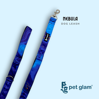 Pet Glam Nebula Dog Leash for Dogs | 5 Ft Heavy Duty Leash with Soft Padded Handle