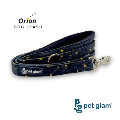 Pet Glam-Dog Leash Orion Large-with Padded Handle 1" wide - Leash for Big Dogs