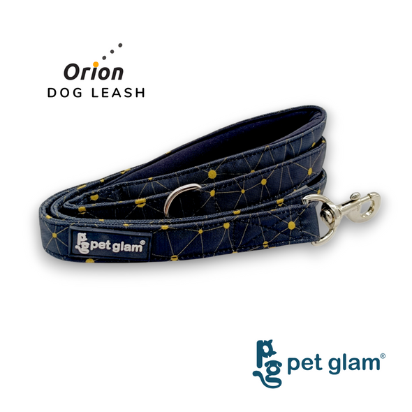 Pet Glam-Dog Leash Orion Large-with Padded Handle 1" wide - Leash for Big Dogs