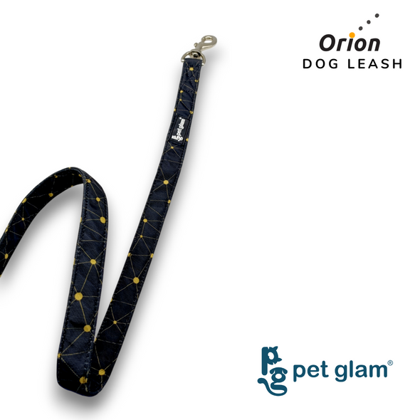 Pet Glam-Dog Leash Orion Large-with Padded Handle 1" wide - Leash for Big Dogs