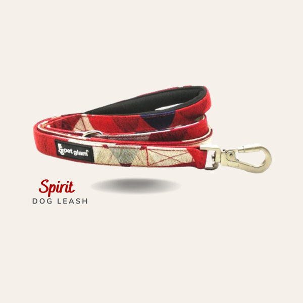 Spirit-1
