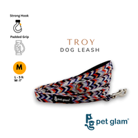 Troy-2