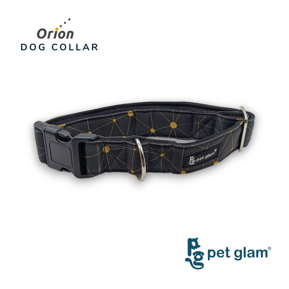 Pet Glam Dog Collar Orion with durable clip Lightweight & Durable Fabric Collar for Dogs