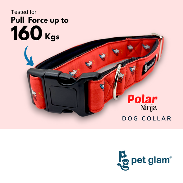 Pet Glam-Padded Dog Collar Polar Ninja for Small Medium Large Dogs