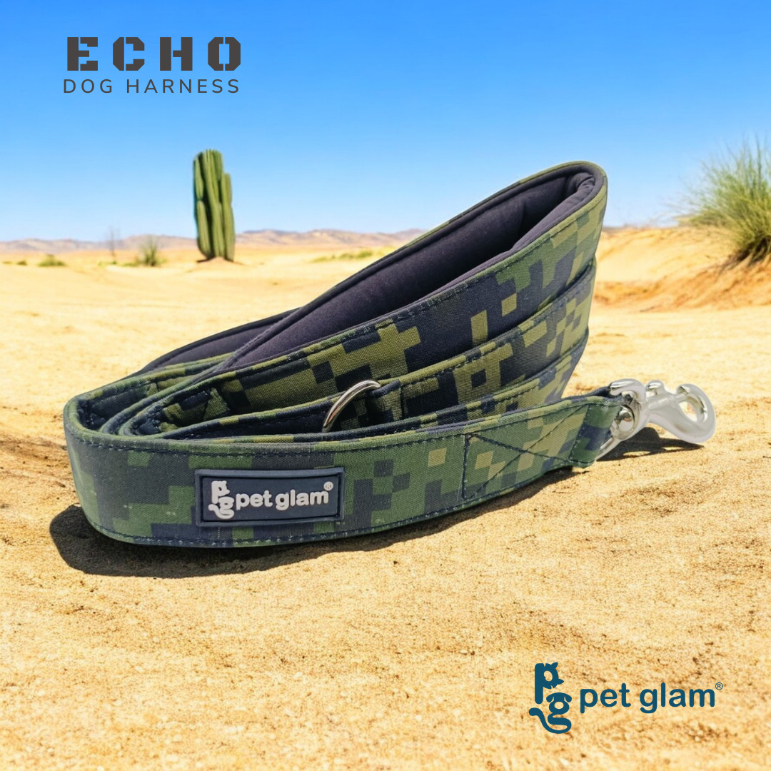 Echo-2