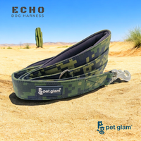 Echo-2