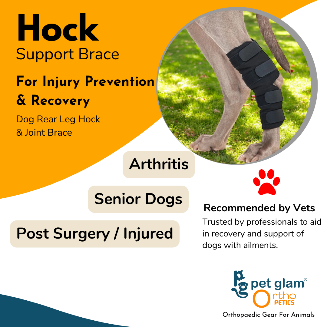 Hock-2