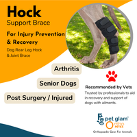 Hock-2