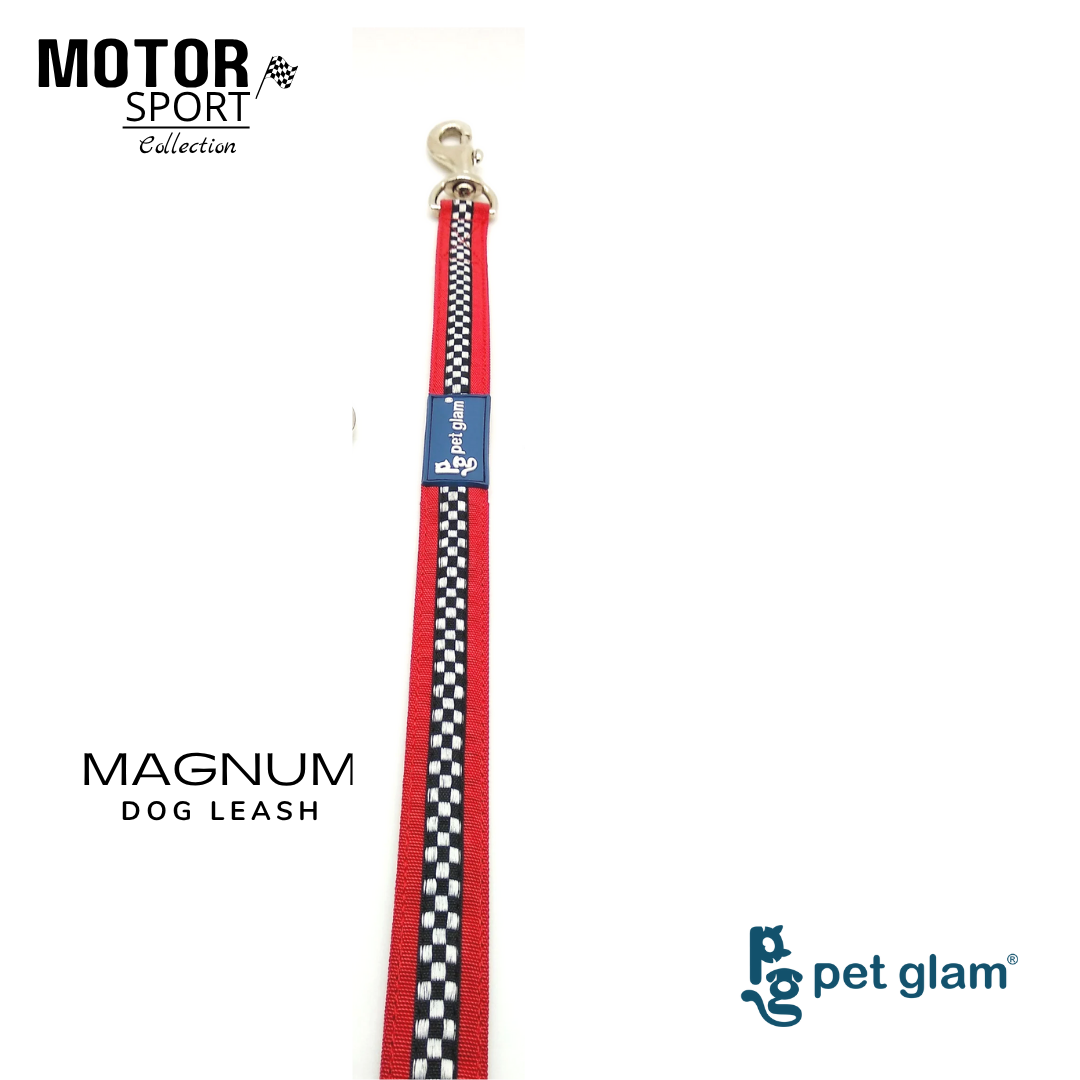 Magnum-4