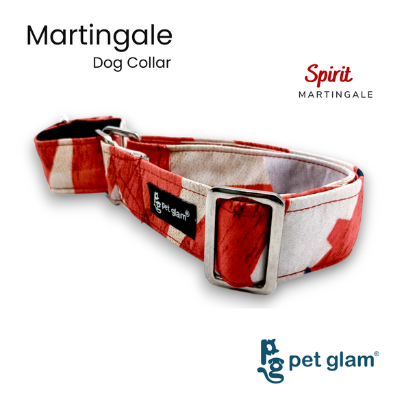 Martingale Collar for Dogs - Spirit - Semi Choke Fabric Dog Collar