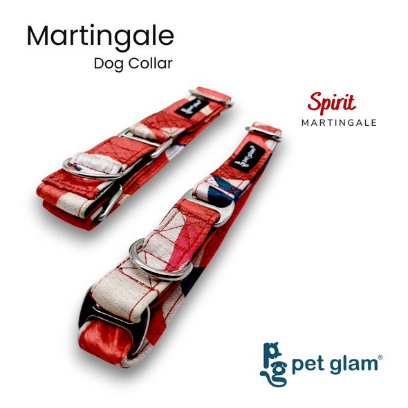 Martingale Collar for Dogs - Spirit - Semi Choke Fabric Dog Collar