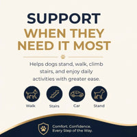 Pet Glam Loki Mobility Support Harness for Dogs | Adjustable Lift Harness with Pee Opening Rear Support and Full Body Walking Aid