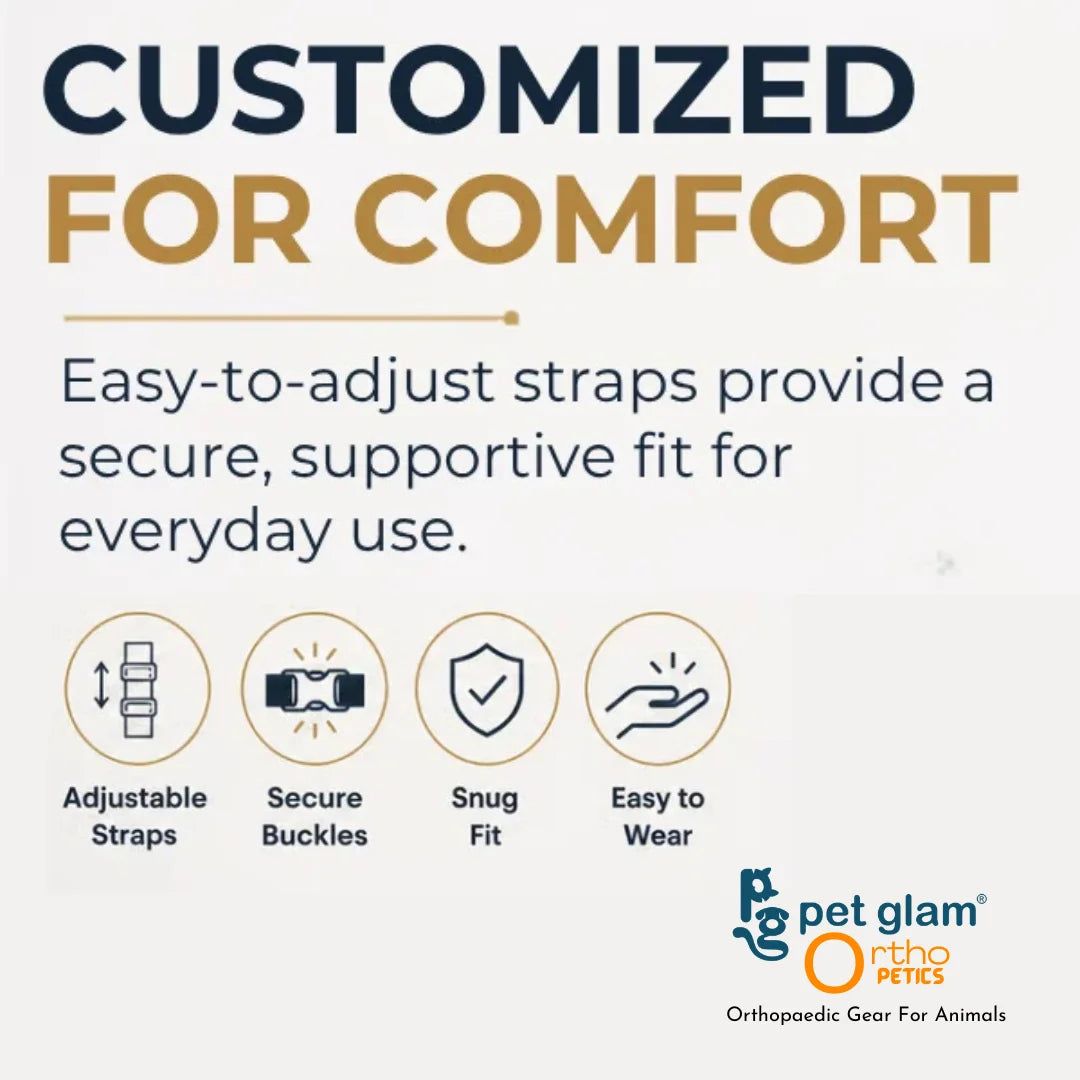 Pet Glam Loki Mobility Support Harness for Dogs | Adjustable Lift Harness with Pee Opening Rear Support and Full Body Walking Aid