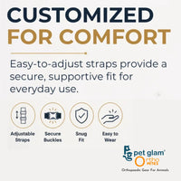 Pet Glam Loki Mobility Support Harness for Dogs | Adjustable Lift Harness with Pee Opening Rear Support and Full Body Walking Aid