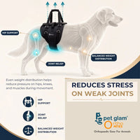 Pet Glam Loki Mobility Support Harness for Dogs | Adjustable Lift Harness with Pee Opening Rear Support and Full Body Walking Aid