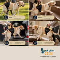 Pet Glam Loki Mobility Support Harness for Dogs | Adjustable Lift Harness with Pee Opening Rear Support and Full Body Walking Aid
