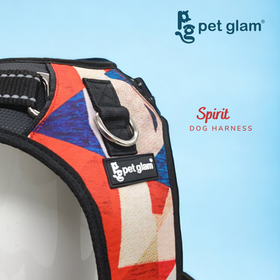 Pet Glam Dog Harness Spirit